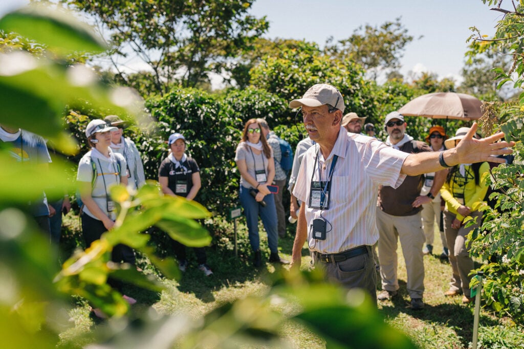 Guided coffee research tour at Hacienda Alsacia