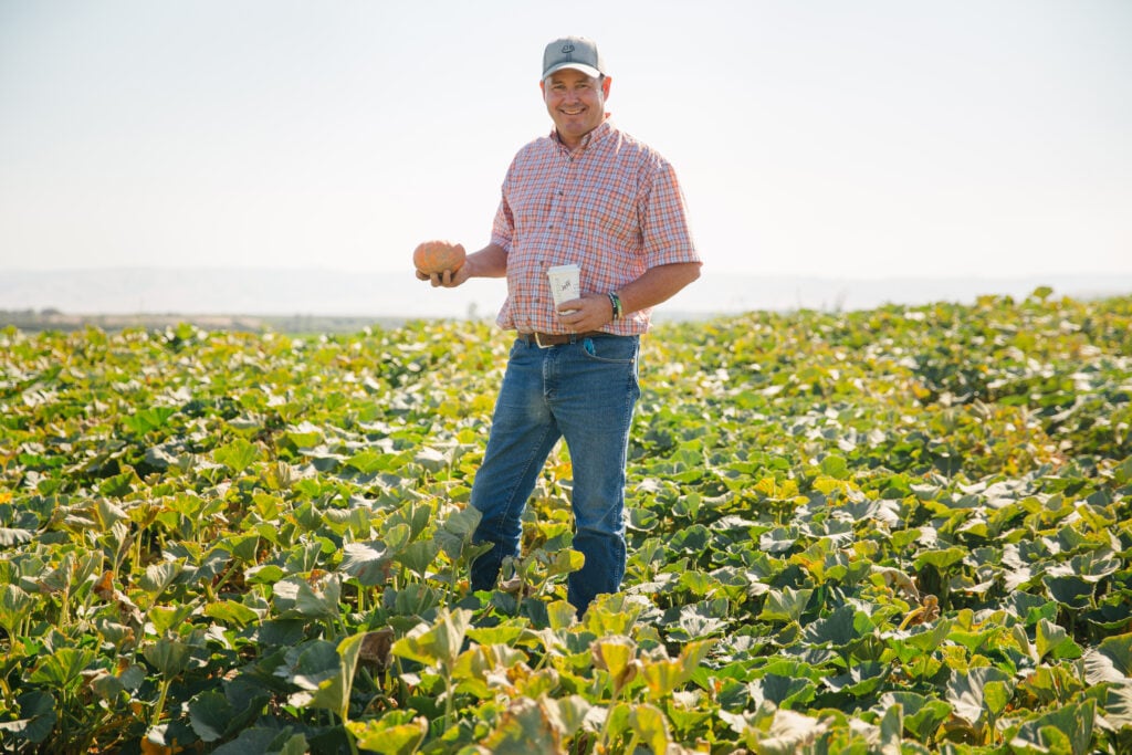 A man stands in a pumpkin field, holding a pumpkin in one hand and a cup in the other. He wears a plaid shirt and a cap, surrounded by lush green leaves.
