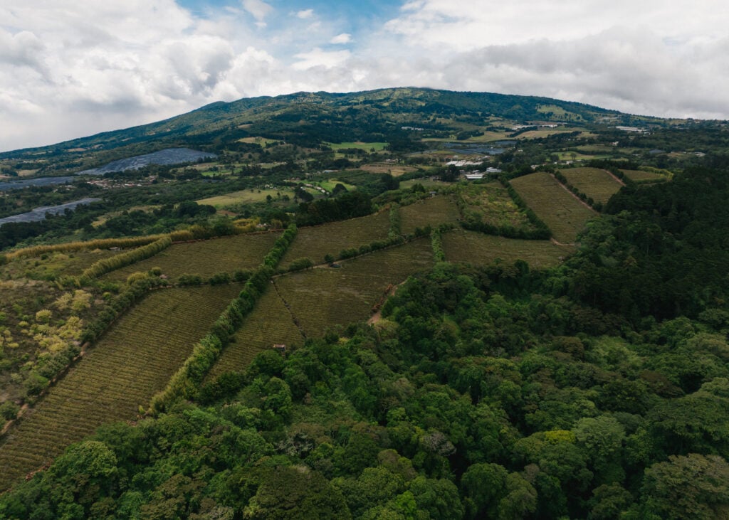 Lush green hills and fields stretch across the landscape, with neatly arranged rows of crops and dense forest areas. A cloudy sky looms above.