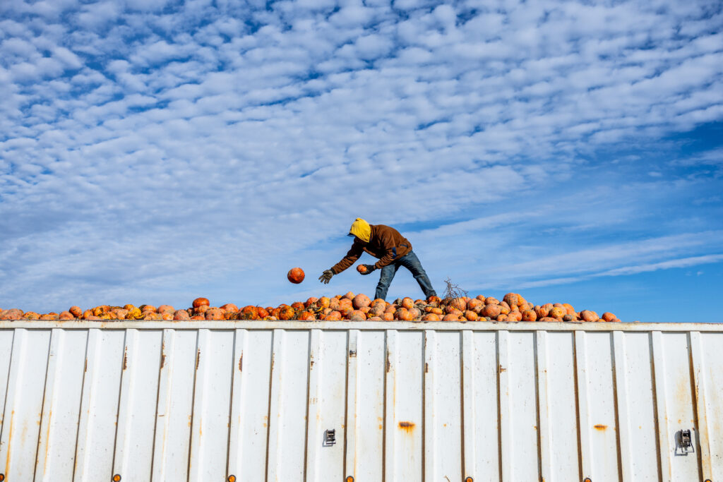 A person in a yellow hooded garment is balancing on a container filled with orange pumpkins, tossing one into the air. The sky is partly cloudy.