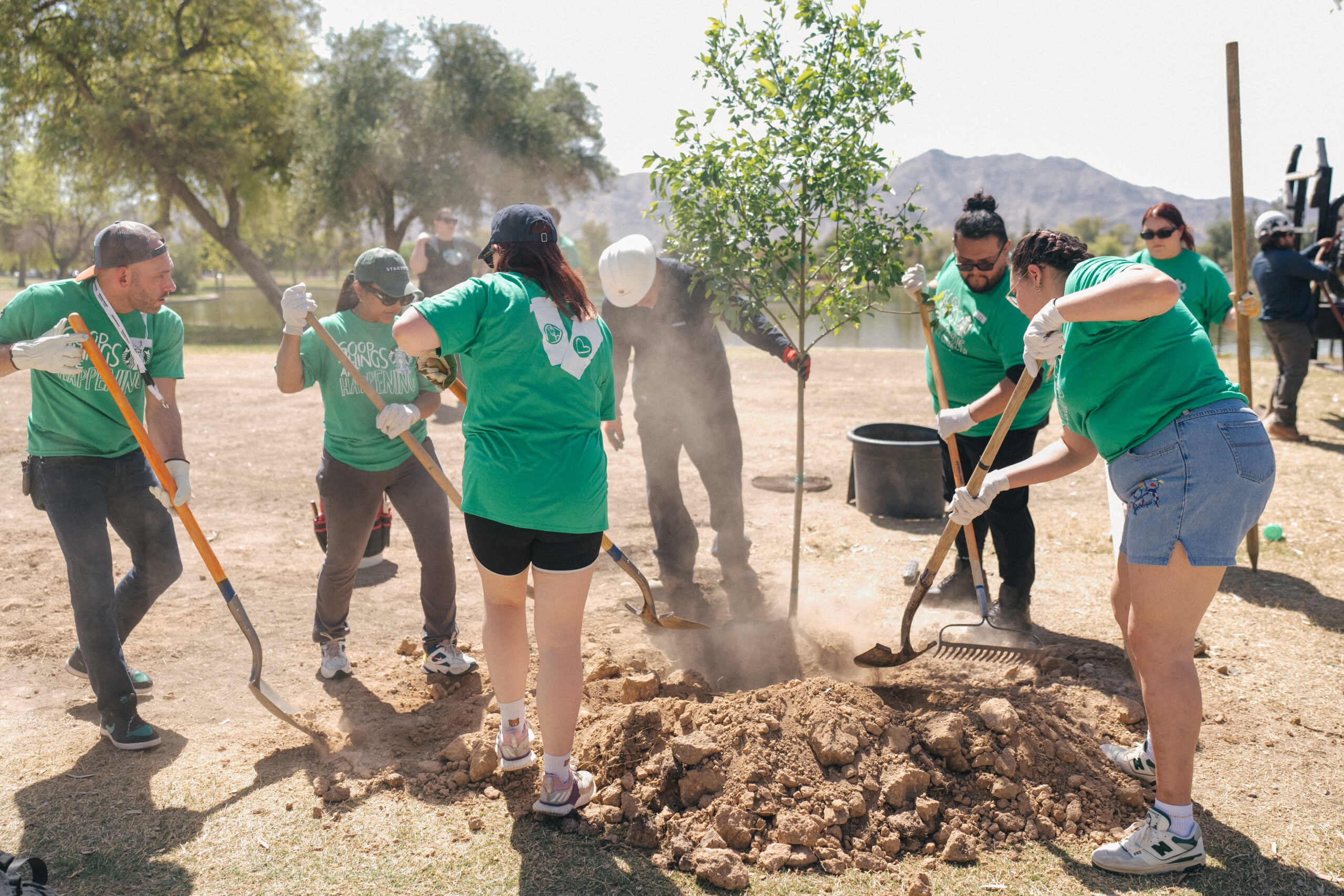 A group of people in green shirts are actively planting a small tree in a park. They are using shovels and rakes, with dust rising from the ground. A black bucket is nearby, and mountains are visible in the background.