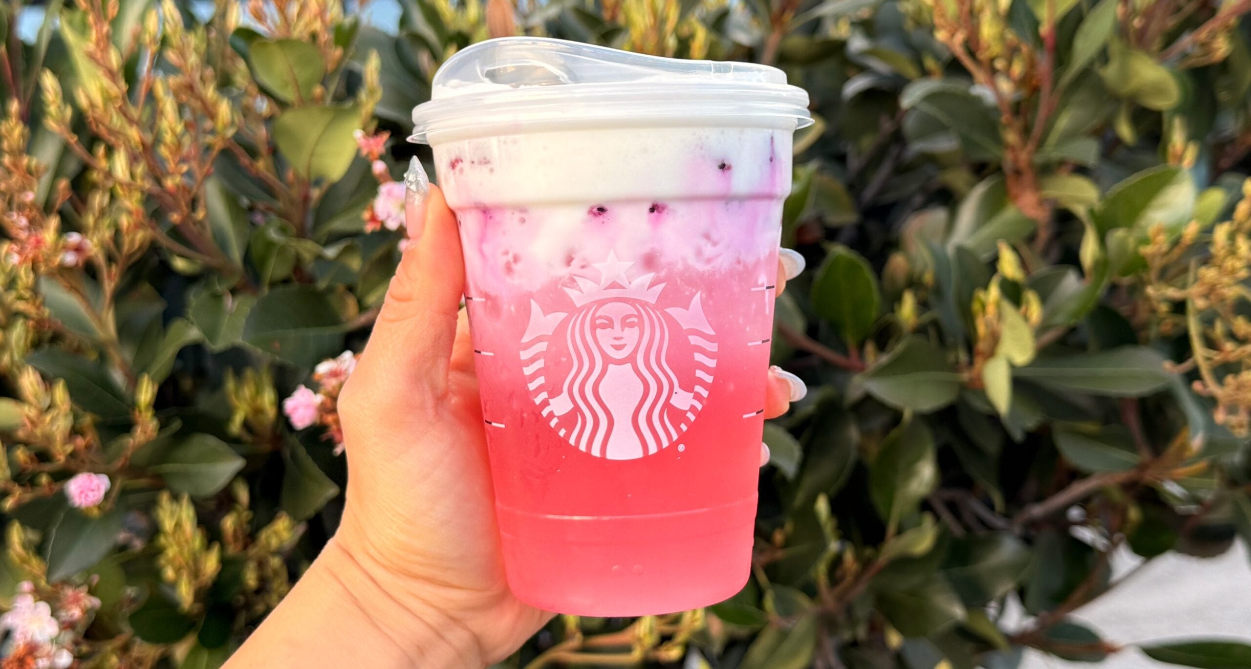 Starbucks introduces the new Pink Cannon Ball Drink on March 3
