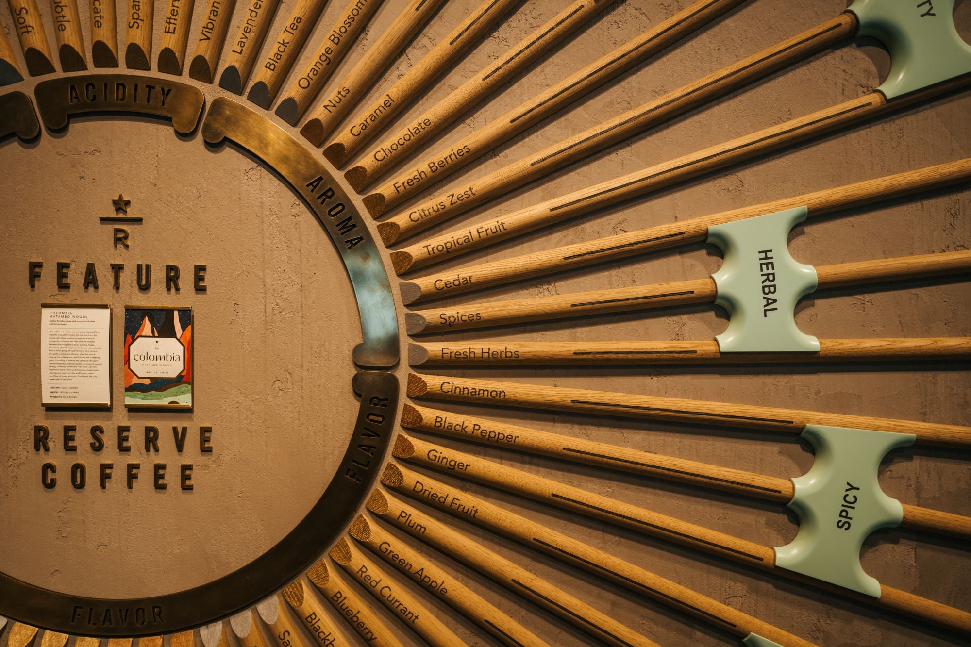 A wall display featuring a coffee flavor wheel, with wooden sticks labeled for acidity, aroma, flavor, herbal, and spicy notes.