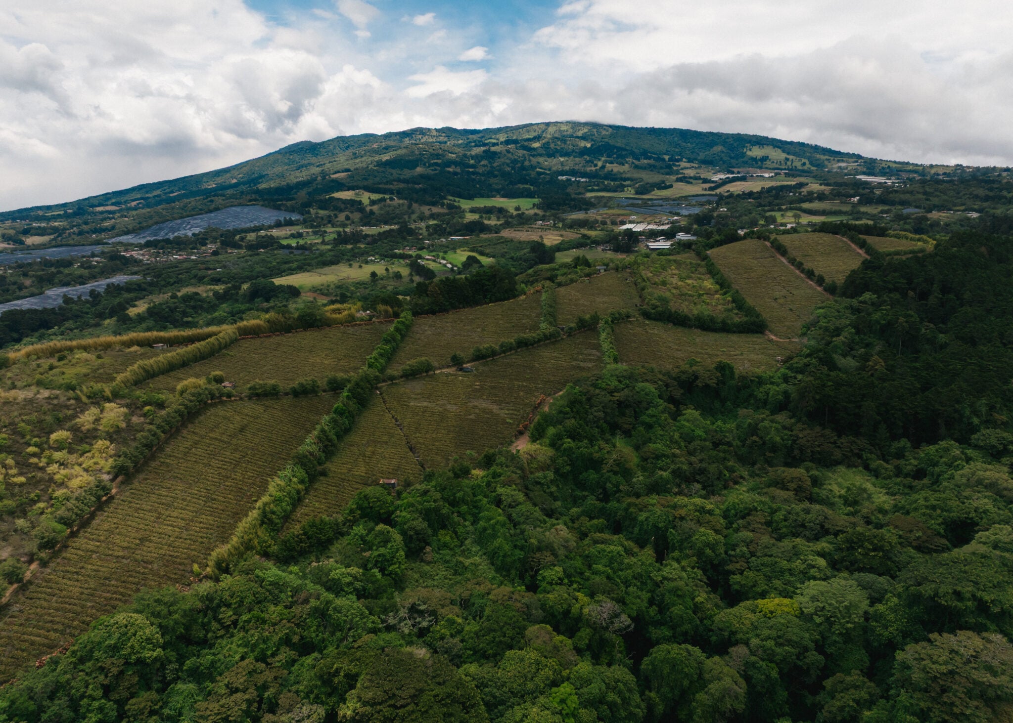 Lush green hills and fields stretch across the landscape, with neatly arranged rows of crops and dense forests. The sky is partly cloudy, adding depth to the scenic view.