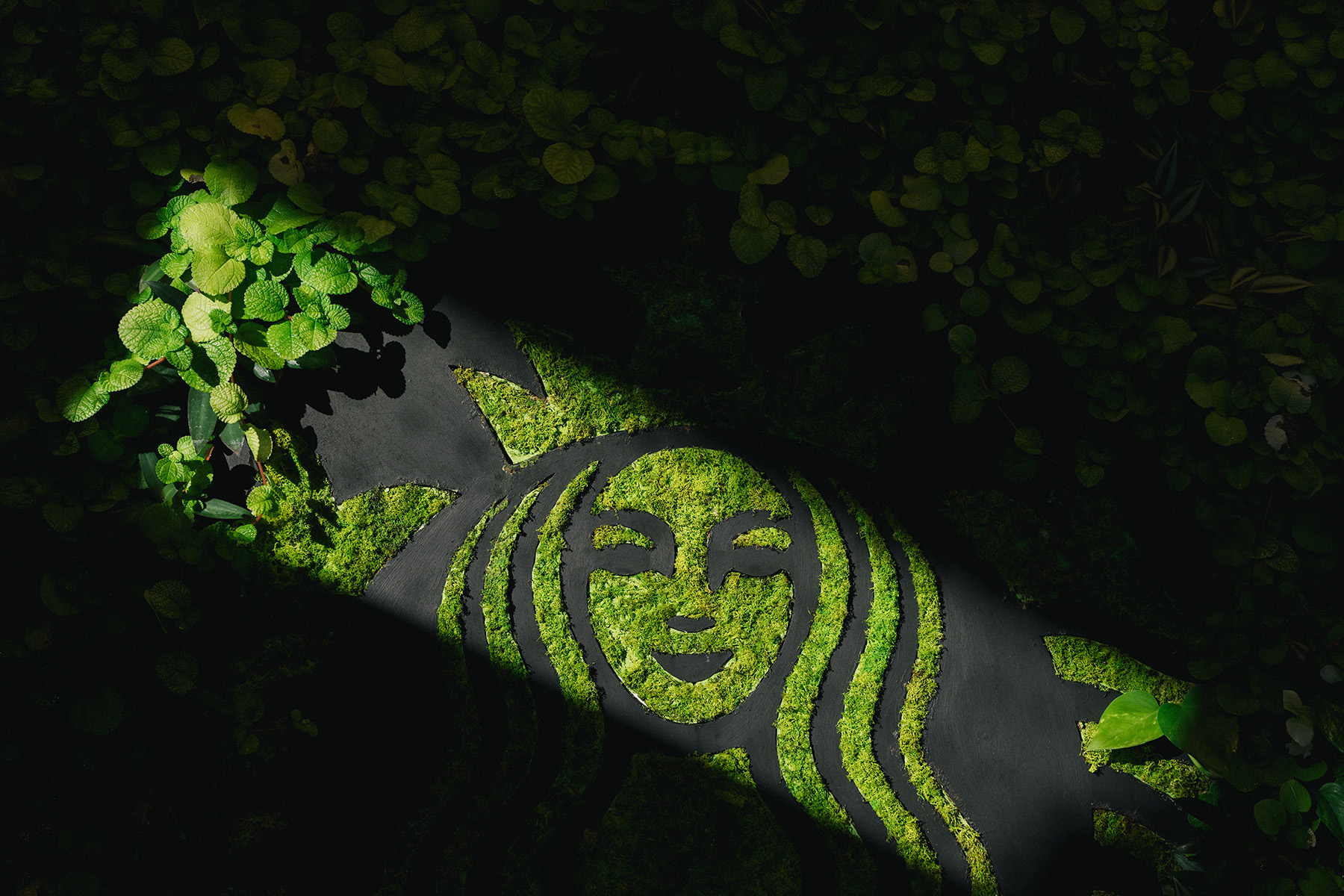 A green moss-covered logo is partially illuminated, surrounded by dark foliage. The design features a smiling face with flowing hair.