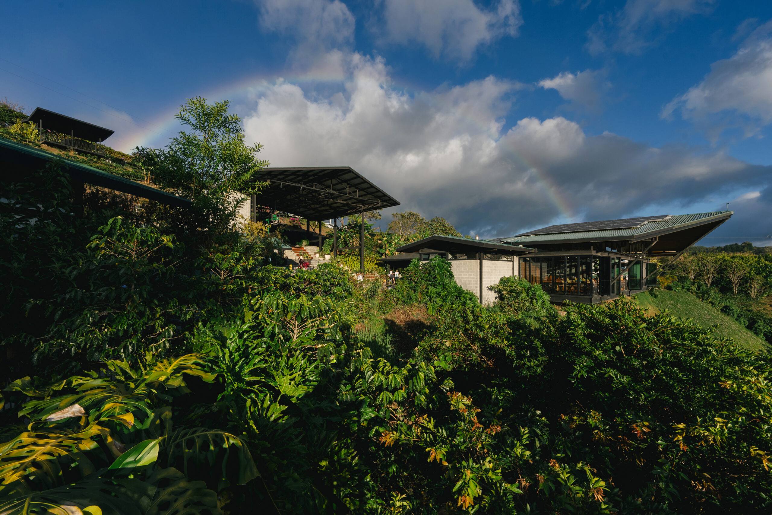 A modern building nestled among lush greenery, with a rainbow arching in the sky. The structure features large windows and a rooftop.